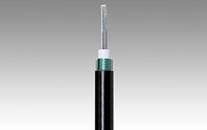 Single Mode Optical Fiber G.652B